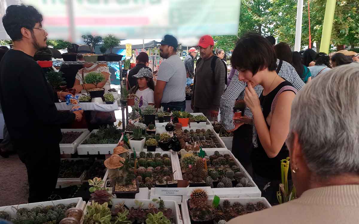personas comprando plantas en expo plantera toluca 2024