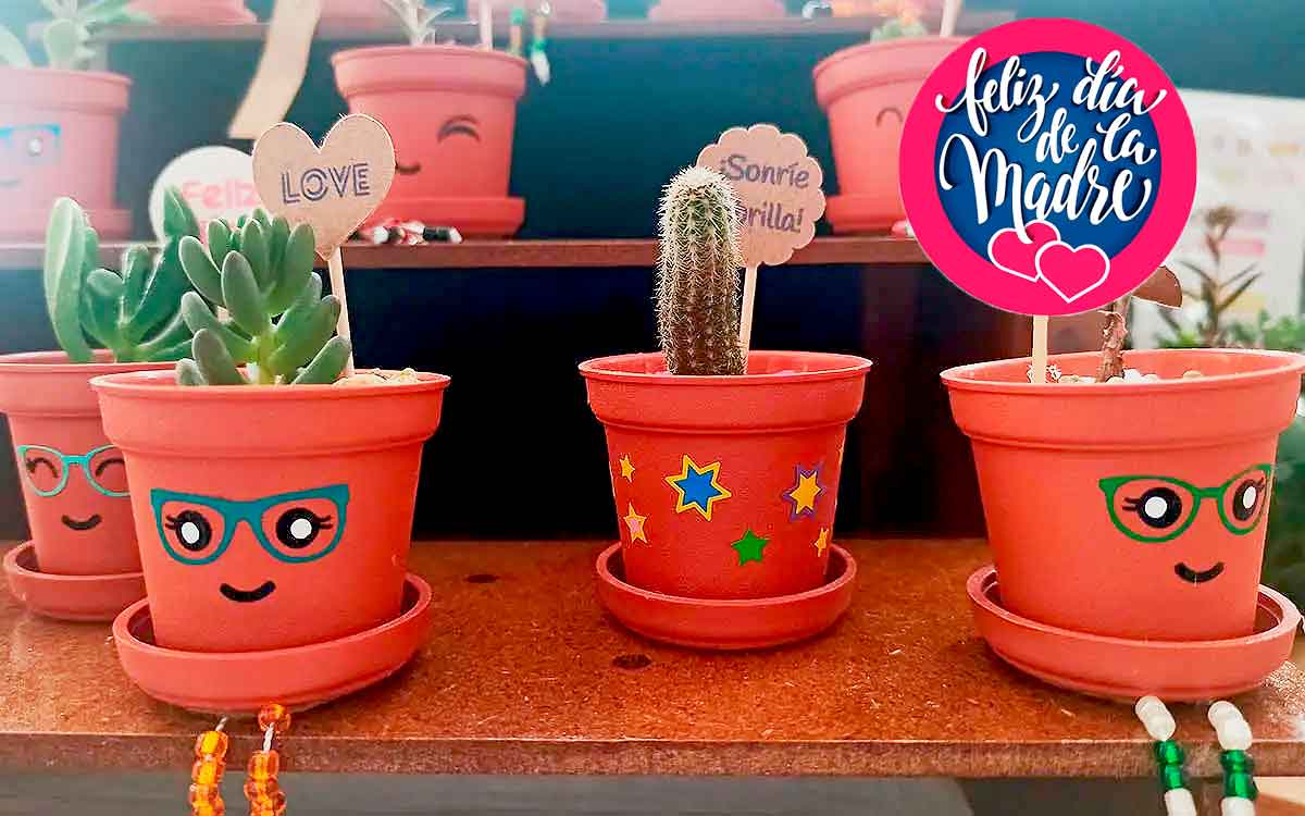 llega la expo plantera toluca por dia d ela madre al parque hank gonzalez