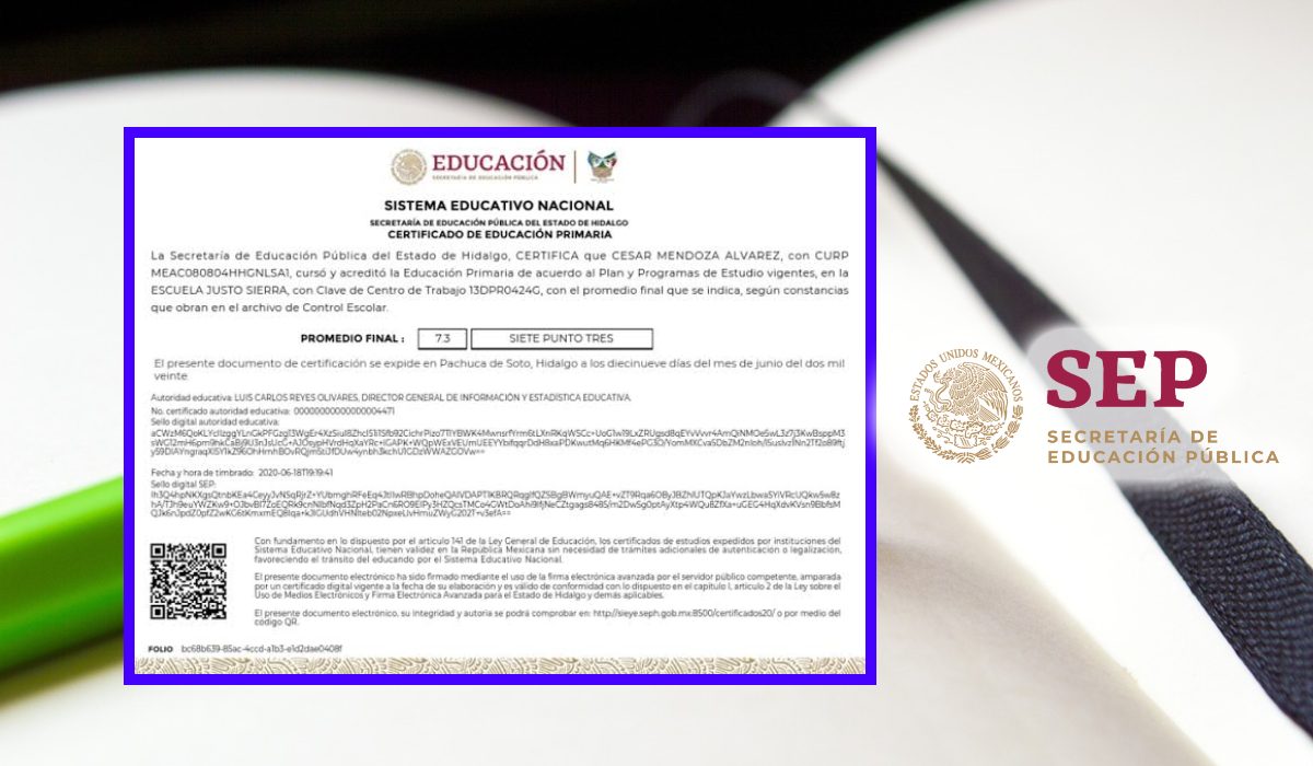 Guía definitiva para obtener tu certificado de primaria SEP