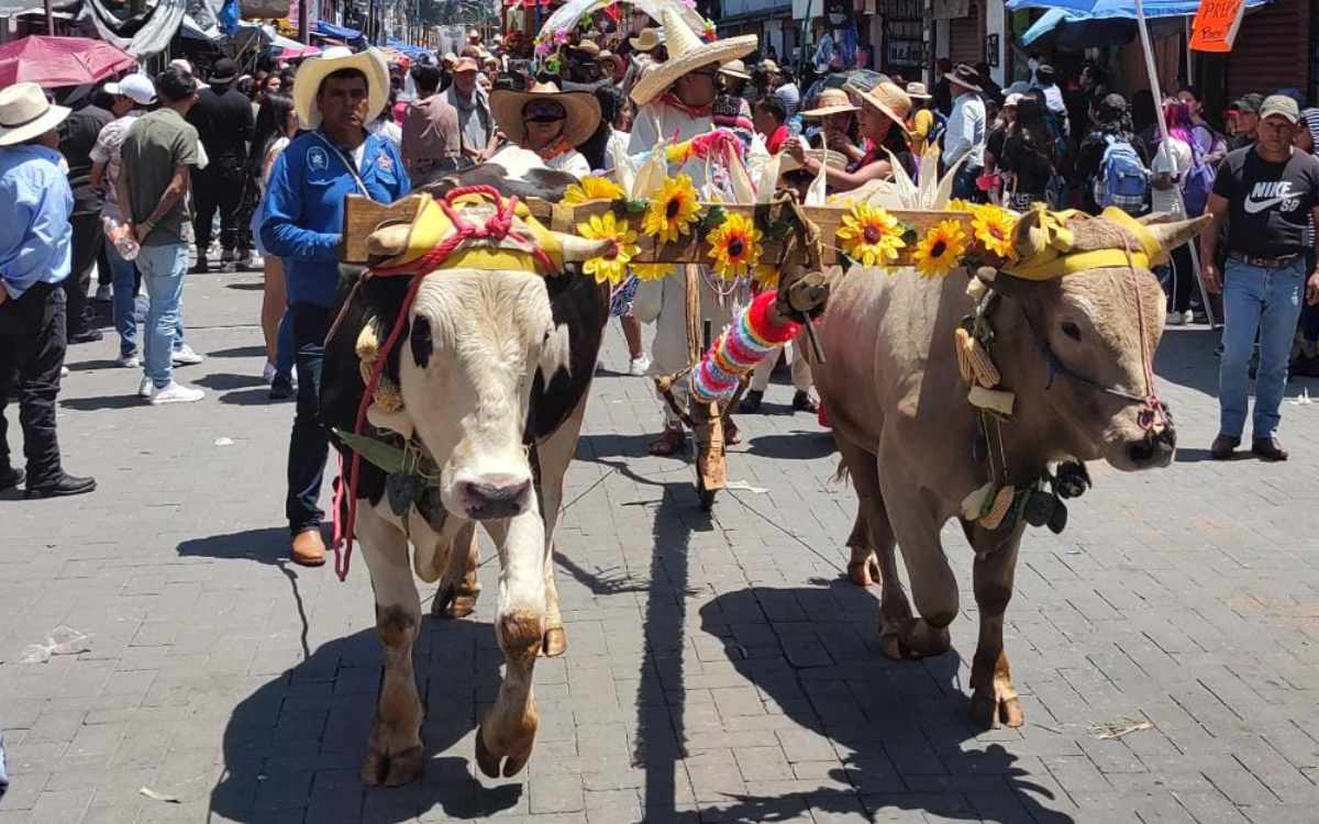 cierres y restricciones viales en metepec por paseo de san isidro labrador 2024