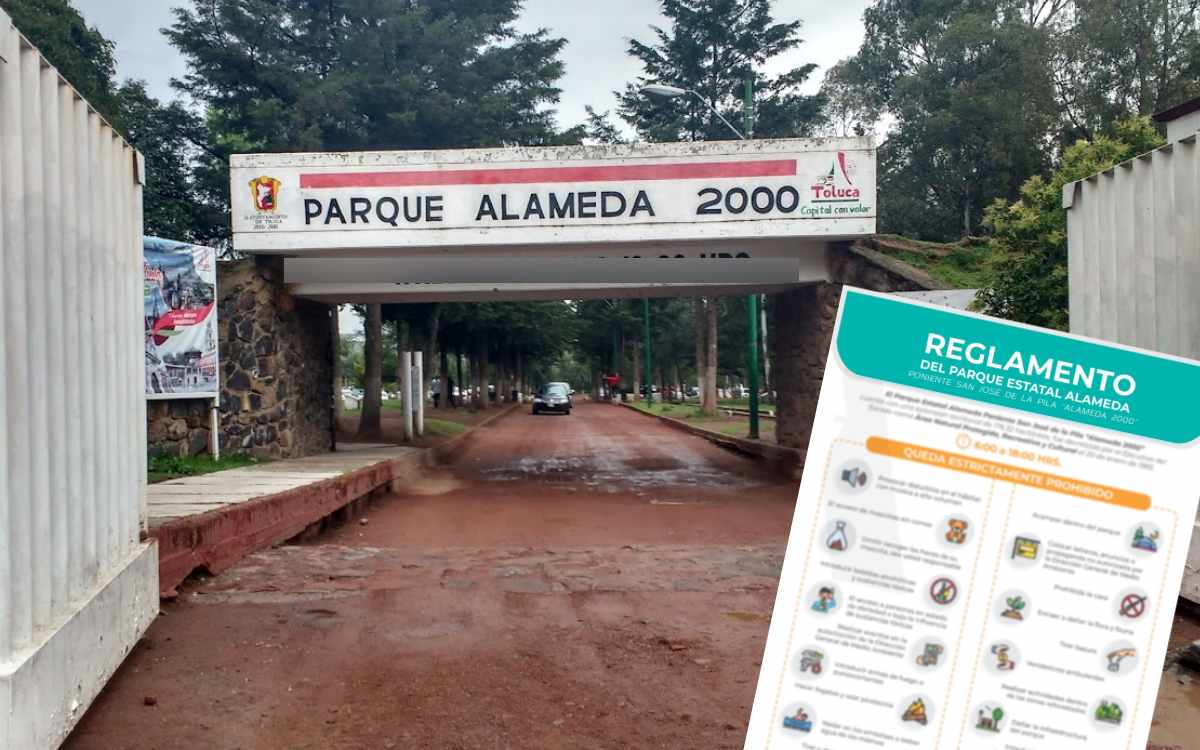 entrada parque alameda 2000 toluca