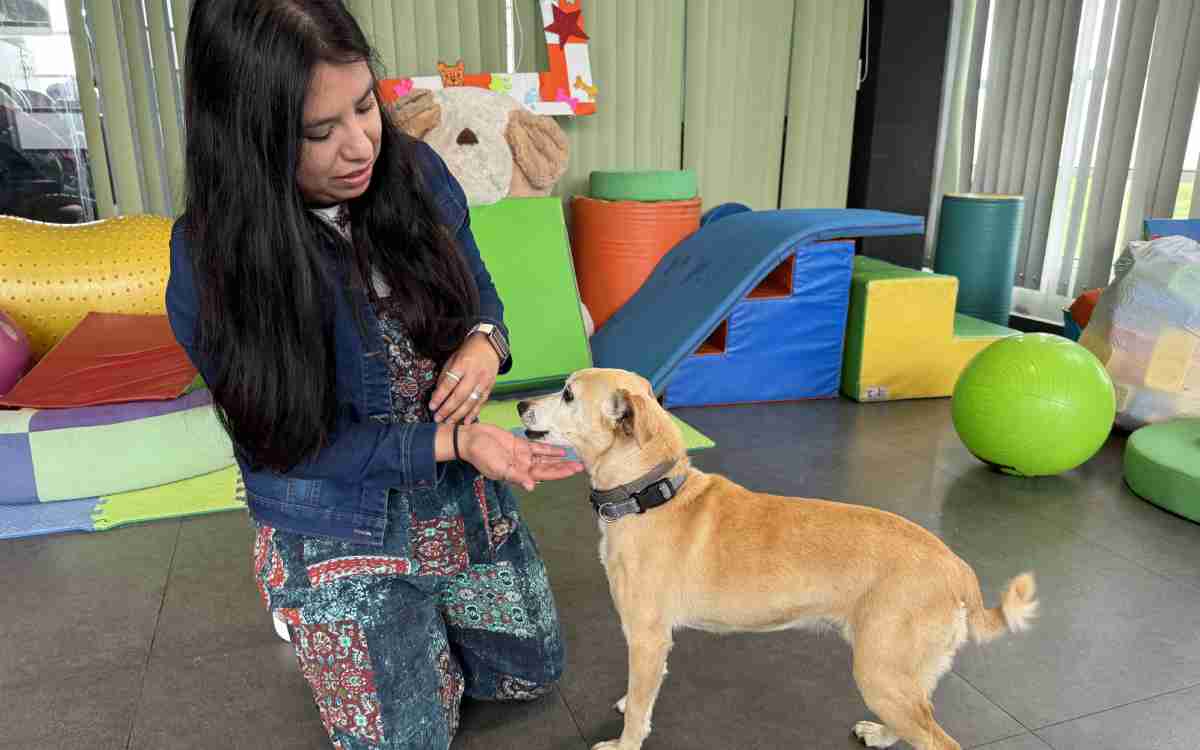 perrito uaemex cirac